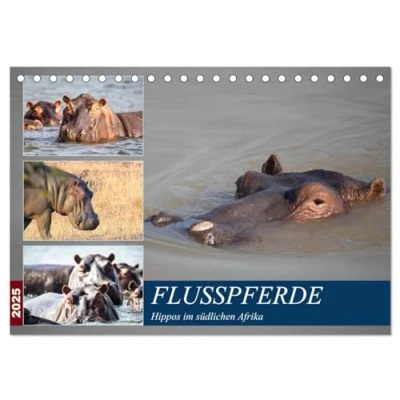 Abbildung von Hippos im südlichen Afrika (Tischkalender 2025 DIN A5 quer), CALVENDO Monatskalender