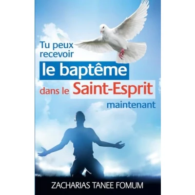 Abbildung von Tu Peux Recevoir le Baptême Dans Saint Esprit Maintenant (Aides Pratiques Pour les Vainqueurs, Band 17)