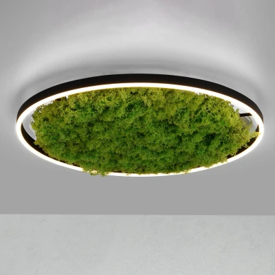 Abbildung von JUST LIGHT Deckenleuchte GREEN RITU, LED fest integriert, Warmweiß