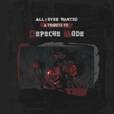 Abbildung von All I Ever Wanted a Tribute to Depeche Mode (Various Artists) [Vinyl LP]