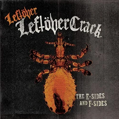 Abbildung von Leftöver (the E Sides and F Sides)