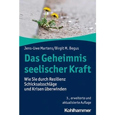 Abbildung von Das Geheimnis seelischer Kraft: Wie Sie durch Resilienz Schicksalsschläge und Krisen überwinden