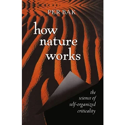 Abbildung von How Nature Works: the science of self organized criticality (Copernicus)