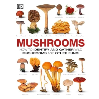 Abbildung von Mushrooms: How to Identify and Gather Wild Mushrooms Other Fungi