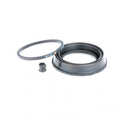 Abbildung von AUTOFREN SEINSA D4935 Bremssattel Reparatursatz Vorderachse 54 MINOR KIT VOLKSWAGEN: Golf 4 Schrägheck, Passat B7 Variant, B6 Variant