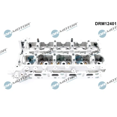 Abbildung von Zylinderkopf Dr.Motor Automotive DRM12401