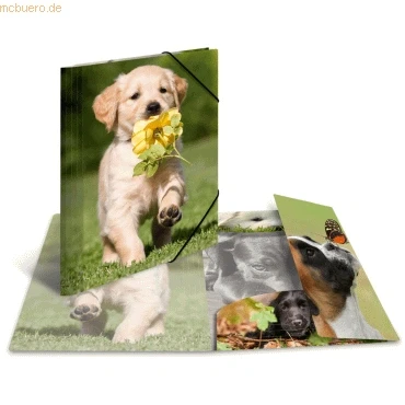Abbildung von HERMA Sammelmappe Glossy Tiere A4 PP Hunde