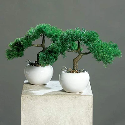 Abbildung von mucplants Künstliches 2er Bonsai Set Zeder und Kiefer ca. 25cm im weißen Keramiktopf Kunstpflanzen künstlicher Baum