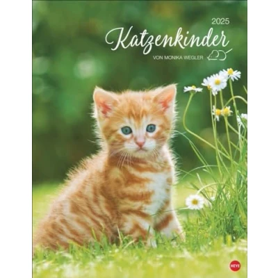 Abbildung von Katzenkinder Posterkalender 2025: von Monika Wegler. Unwiderstehliche Katzenbabys im Porträt. Ein großer Wandkalender mit vielen Fotos und Geschichten. Dekorativer Katzen Kalender.