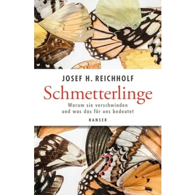 Abbildung von Schmetterlinge: Warum sie verschwinden und was das für uns bedeutet