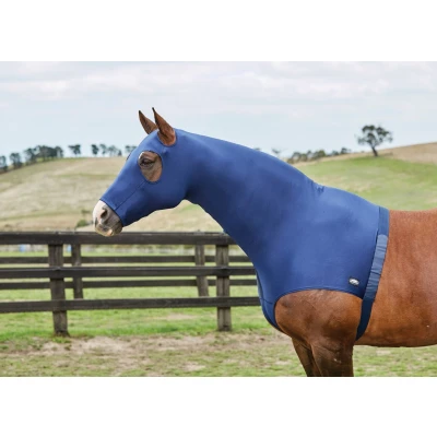 Abbildung von Weatherbeeta Hood Stretch with Zip Navy Warmblut
