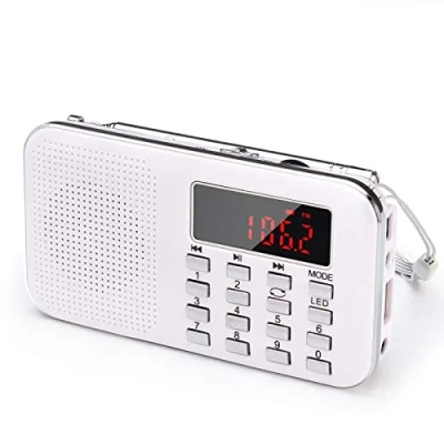 Abbildung von PRUNUS L 218AM Portables Mini Radio AM(MW)/UKW FM/TF Card/USB/MP3, 1200mAh Akku. Geschäfte und Sendestationen [NUR automatisch].