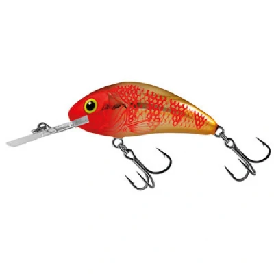 Abbildung von Salmo Rattlin Hornet Floating 6,5cm Golden Red Head Wobbler