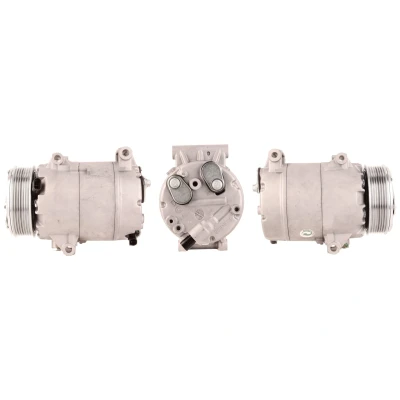 Abbildung von LUCAS ACP450 Kompressor PAG 46 R 134a mit Dichtungen RENAULT: ESPACE 4