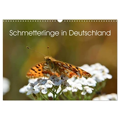 Abbildung von Schmetterlinge in Deutschland (Wandkalender 2025 DIN A3 quer), CALVENDO Monatskalender