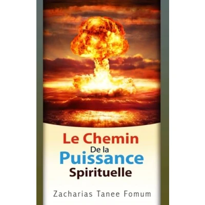 Abbildung von Le Chemin de la Puissance Spirituelle (Le Chrétien, Band 6)