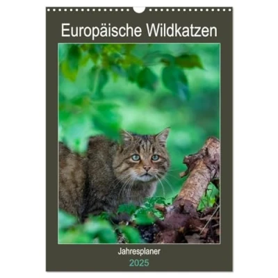 Abbildung von Europäische Wildkatzen Jahresplaner (Wandkalender 2025 DIN A3 hoch), CALVENDO Monatskalender