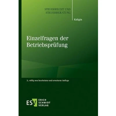 Abbildung von Einzelfragen der Betriebsprüfung (Steuerrecht und Steuerberatung, Band 57)
