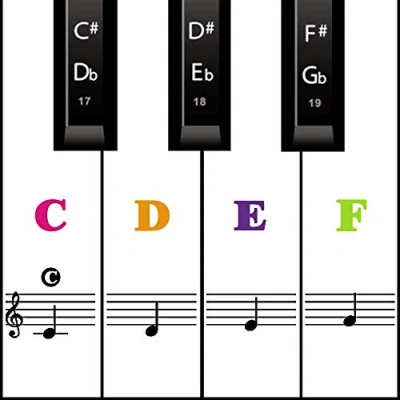 Abbildung von Klavier Keyboard Aufkleber für 54/61 / 76/88 Tasten Noten Piano Sticker weiße &amp; schwarze Transparent und abnehmbar (Farbe)