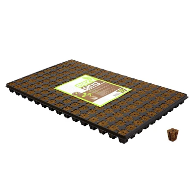 Abbildung von Seed Propagation Tray Eazy Gardening Plug 150 Plugs (52x31cm)
