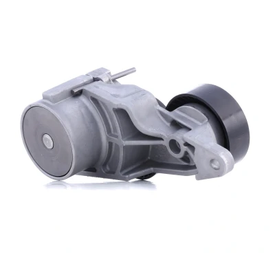 Abbildung von INA 534 0319 10 Spannarm, Keilrippenriemen VOLVO: S60 I, XC90 V70 2
