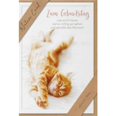 Abbildung von bsb Karte zum Geburtstag Nature Card Nachhaltige Karten Geburtstagskarten mit Umschlag Geburtstagskarte Frauen &amp; Männer Glückwunschkarte 11,5 x 17 cm