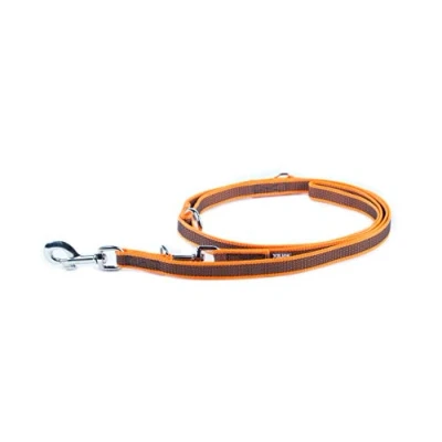 Abbildung von Julius K9 C&amp;amp G Leine, Dressur, orange/grau, 20mm/2.2m, max 50kg