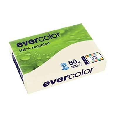 Abbildung von 5 x Clairefontaine Multifunktionspapier evercolor RC A3 420x297mm 80g/