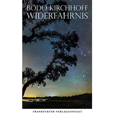 Abbildung von Widerfahrnis: Eine Novelle. Ausgezeichnet mit dem Deutschen Buchpreis 2016