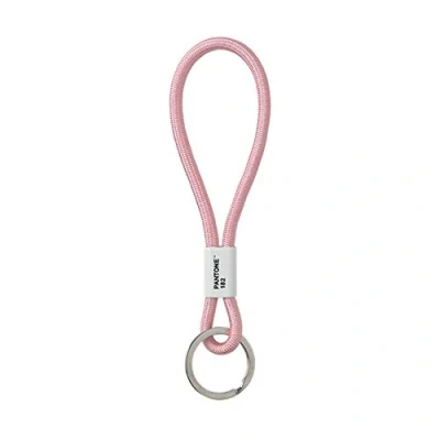 Abbildung von PANTONE Schlüsselanhänger, Design Schlüsselband, Key Chain, kurz