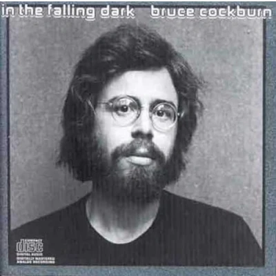 Abbildung von In the falling dark (Deluxe)