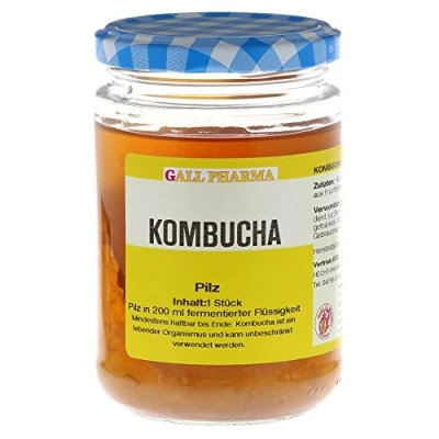 Abbildung von Kombucha Teepilz