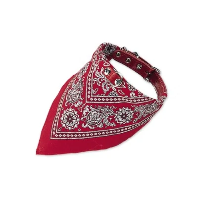 Abbildung von Nobby Hundehalsbandleuchte Halsband mit Tuch