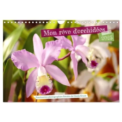 Abbildung von Mon rêve d&#039;orchidées (Wandkalender 2025 DIN A4 quer), CALVENDO Monatskalender