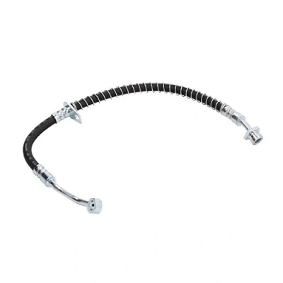 Abbildung von DELPHI LH6976 Bremsschläuche 419 Banjo KIA: Picanto II