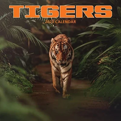 Abbildung von Tiger Kalender 2023