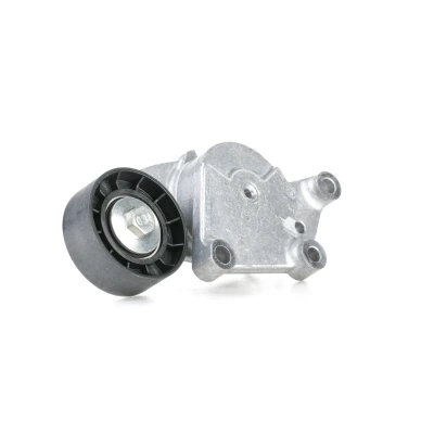 Abbildung von SNR GA359.19 Spannrolle PEUGEOT: 207 CC, 307 SW, Schrägheck, CITROËN: C4 Grand Picasso 2, Berlingo II, MINI: Clubman