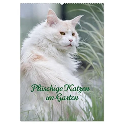 Abbildung von Plüschige Katzen im Garten (Wandkalender 2025 DIN A2 hoch), CALVENDO Monatskalender