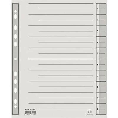 Abbildung von Exacompta Trennblatt A4 230g/qm Karton (RC) VE=100 Stück grau