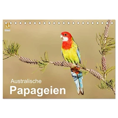 Abbildung von Australische Papageien (Tischkalender 2025 DIN A5 quer), CALVENDO Monatskalender