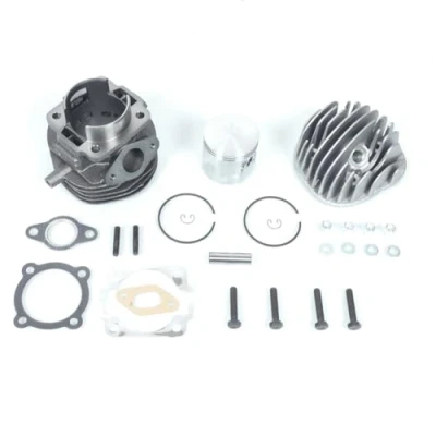 Abbildung von Zylinder Polini 102 ccm Sport Vespa PK 50 Spez