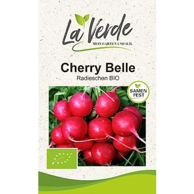 Abbildung von Radieschen Cherry Belle BIO