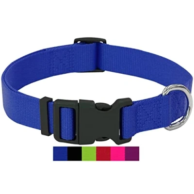 Abbildung von DEY Premium Hundehalsband Nylon Verstellbar für Kleine u. Große Hunde viele Farben Größen Hund Katze Welpe Halsbänder Katzen Halsband Welpen Blau, XS