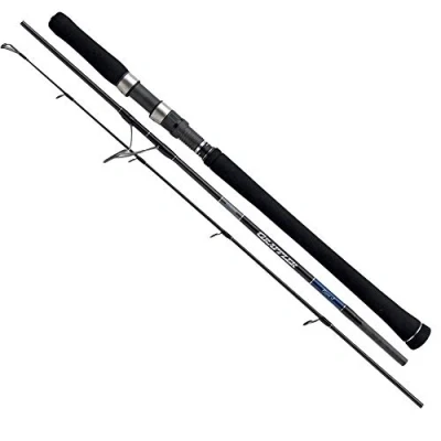 Abbildung von Rod 20 Game Typ Jigging Spin