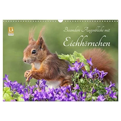 Abbildung von Besondere Augenblicke mit Eichhörnchen (Wandkalender 2025 DIN A3 quer), CALVENDO Monatskalender