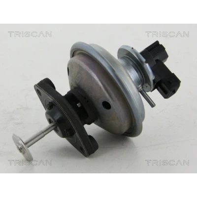 Abbildung von TRISCAN 8813 11002 AGR Ventil elektrisch pneumatisch mit Dichtungen BMW: 3 Touring, 1 Schrägheck, X3, MINI: Clubman