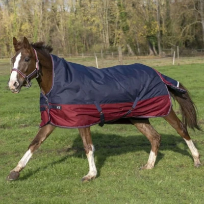 Abbildung von EQUITHÈME Outdoordecke Tyrex 1200D 0g mit Halbem Hals Navy/Bordeaux 165/215 Agradi.deVerkauft von Agradi