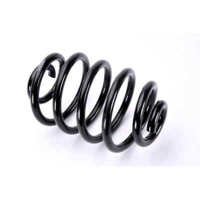 Abbildung von Magnum Technology SR058MT Fahrwerksfeder Hinterachse Schraubenfeder RENAULT: CLIO 2