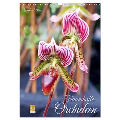 Abbildung von Traumhafte Orchideen (Wandkalender 2025 DIN A3 hoch), CALVENDO Monatskalender