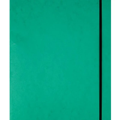 Abbildung von Pagna 44100 03 Ringbuch, Gummizug, A4, 16 mm, grün